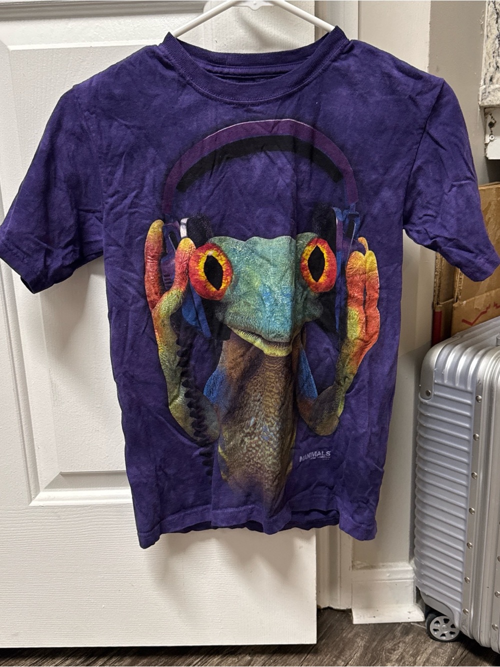 The Mountain Purple Tee with Colorful Frog Design